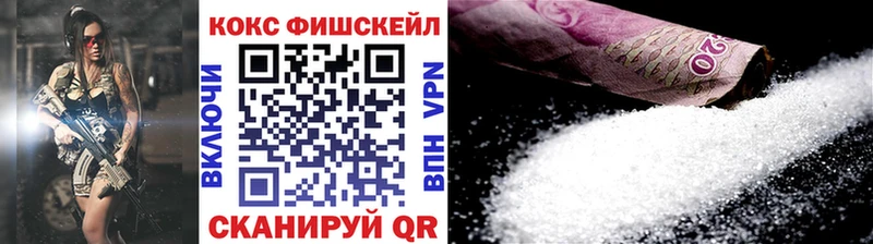 Cocaine Fish Scale  хочу наркоту  Бийск 