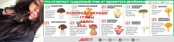 дмт Балабаново